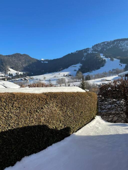 Charmant Studio + Jardin Vue Pistes Et Local Velo Praz-sur-Arly Eksteriør billede