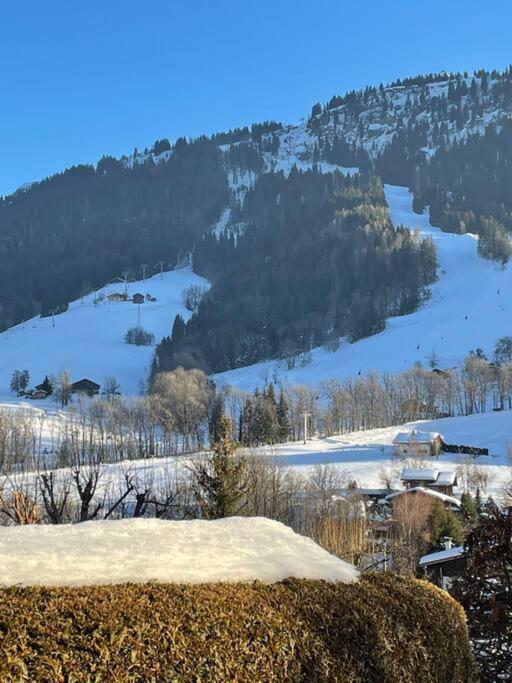 Charmant Studio + Jardin Vue Pistes Et Local Velo Praz-sur-Arly Eksteriør billede